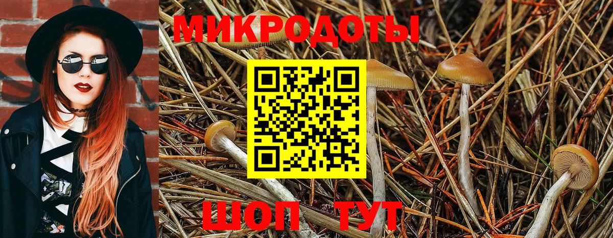 Галлюциногенные грибы GOLDEN TEACHER Минеральные Воды