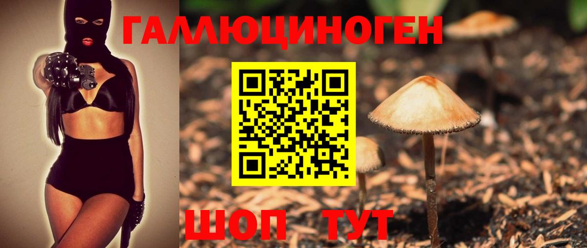 Псилоцибиновые грибы GOLDEN TEACHER  Вход с VPN  Галлюциногенные грибы ЛСД  Минеральные Воды 
